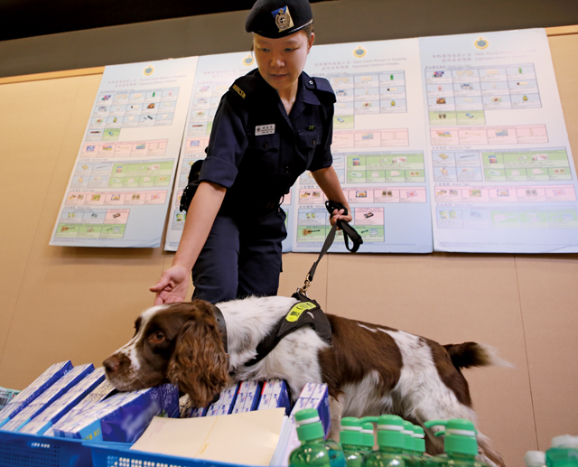 Sniffing dog assists in checking hand-in articles.
