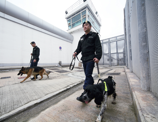 Canines carry out patrol and drug detection duties in support of the surveillance of correctional facilities.