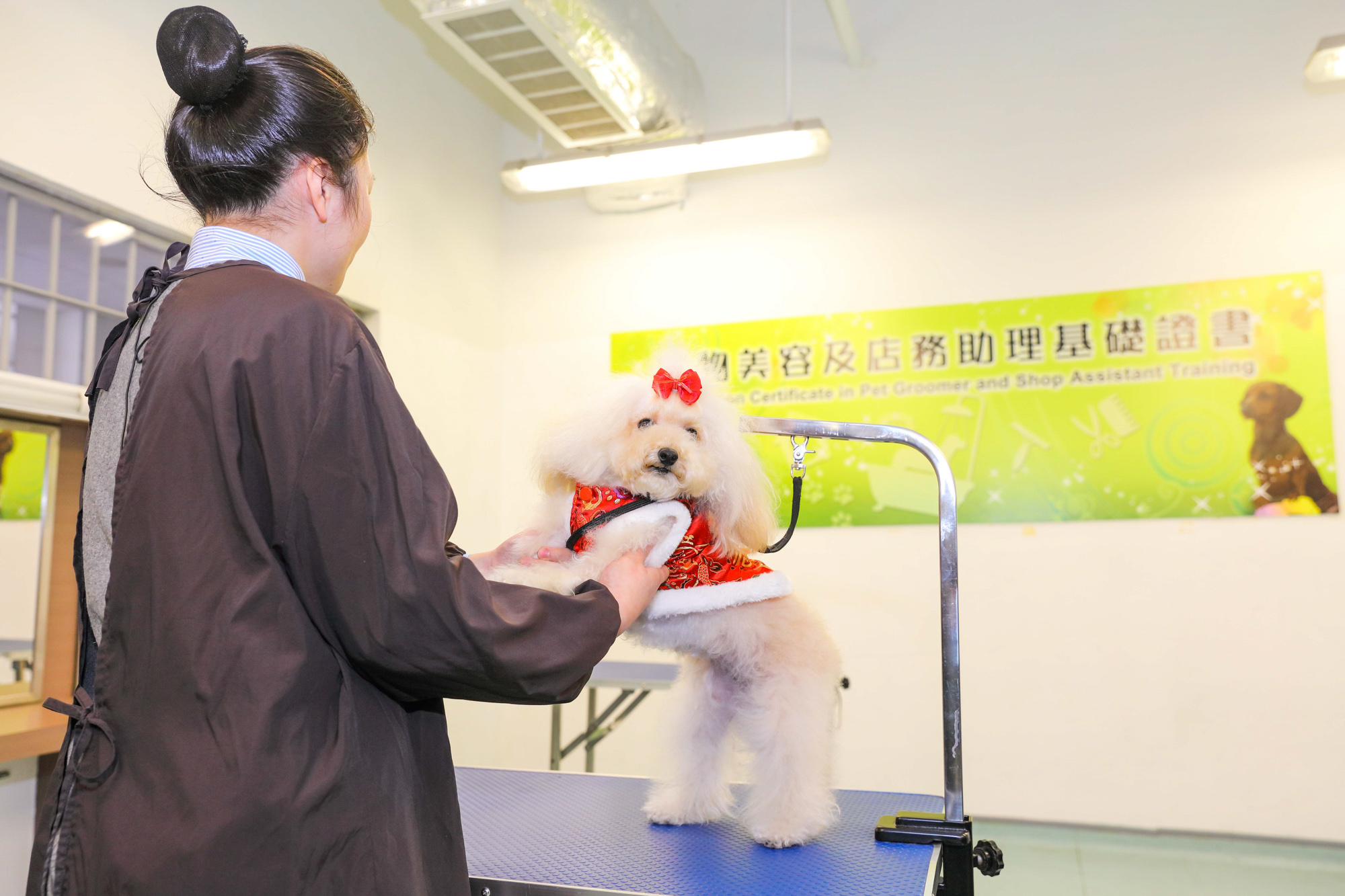 宠物美容及店务助理基础证书课程有助提高在囚人士的就业能力。
