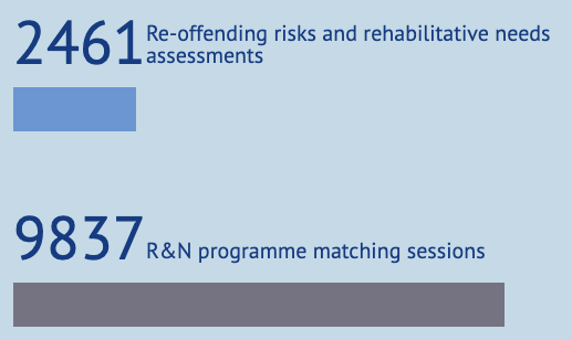 Print - Risks and Needs Assessment and Management Protocol for Offenders