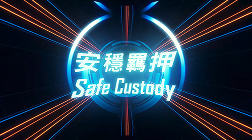 Safe Custody