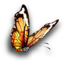 butterflybanner