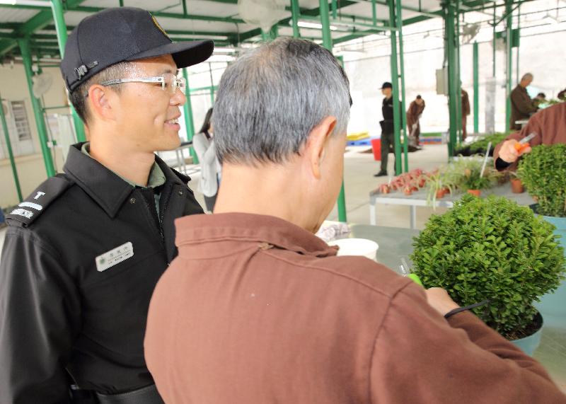 Elderly persons in custody, with the teaching of instructor, learn horticultural skills and knowledge, and refining their temperament at the same time.