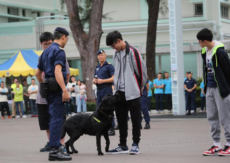 警衛犬隊在活動中表演。