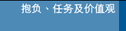 抱负、任务及价值观