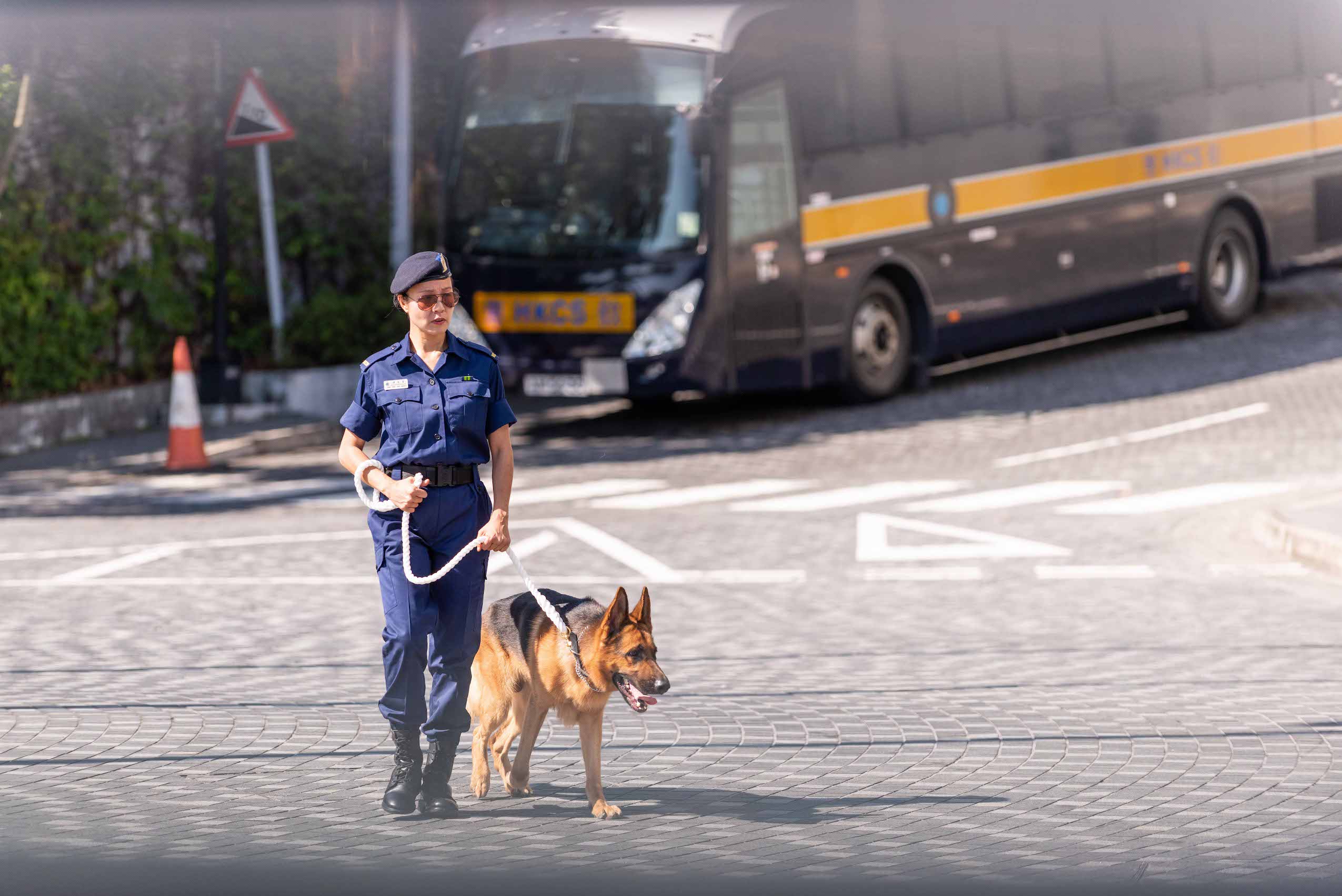 警衛犬執行搜查及巡邏任務，支援懲教設施的監察工作。
