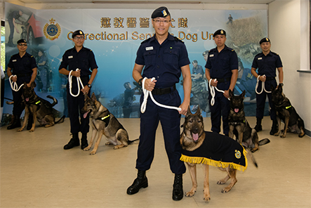 相片二 - 传媒采访惩教署警卫犬队。