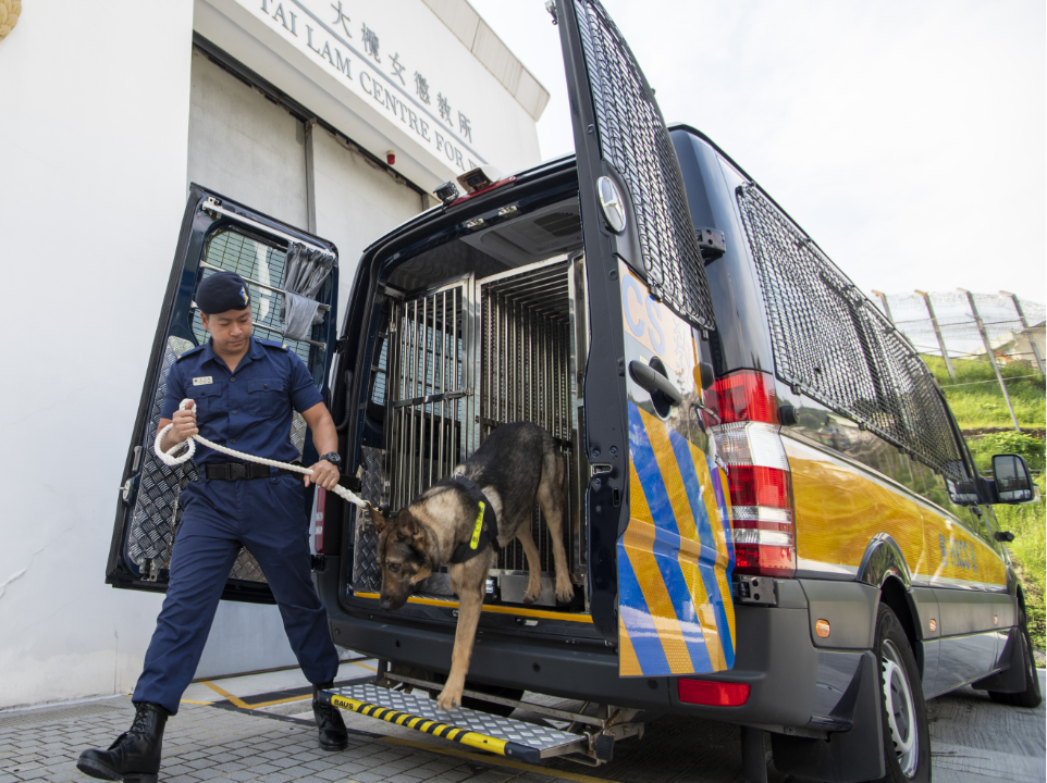 惩教署的警卫犬协助惩教人员巡逻1。