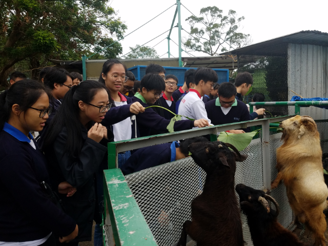 The Green Haven Scheme promotes to youngsters anti-drug messages and the importance of environmental protection.  Participants are arranged to meet young persons in custody at Hei Ling Chau Addiction Treatment Centre to understand the detrimental effects of drug abuse.