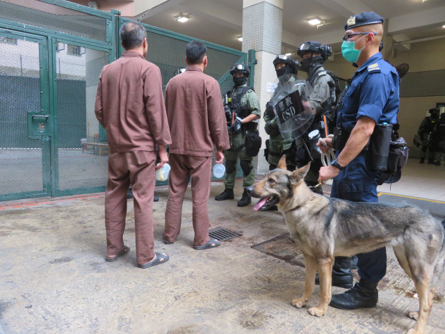 In March 2020, in response to the collective actions planned by some persons in custody in Tai Lam Correctional Institution to express their dissatisfaction with the enhanced requirements on the cleanliness of cells and personal hygiene, the Department deployed a reinforcement team to the institution to conduct raids on target persons in custody.