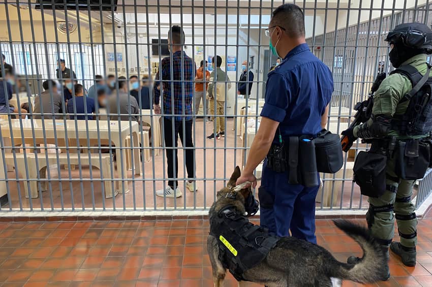 區域應變隊及警衛犬隊支援院所管方，打擊在囚人士的非法活動。