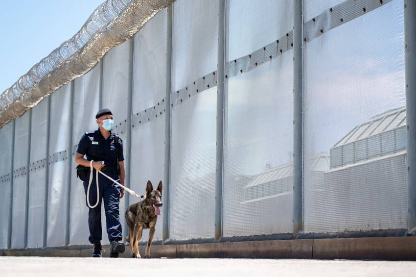警衛犬隊負責訓練犬隻執行巡邏和嗅查違禁品，以支援懲教設施的監察工作。