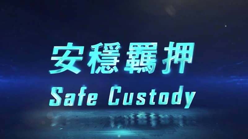 Safe Custody Youtube Video