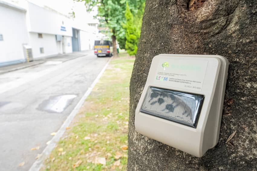 樹木監測系統的感應器及數據收集儀