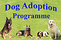 Dog Adoption Programme