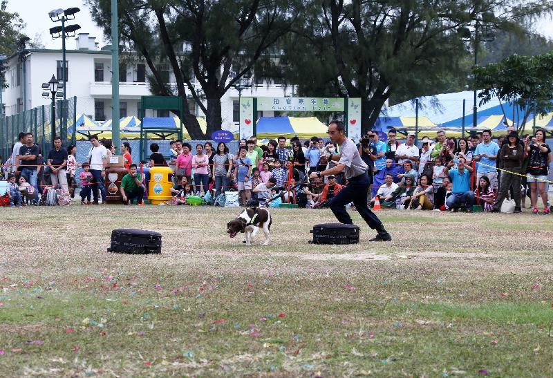 The CSD Dog Unit will give a demonstration at the Fair.