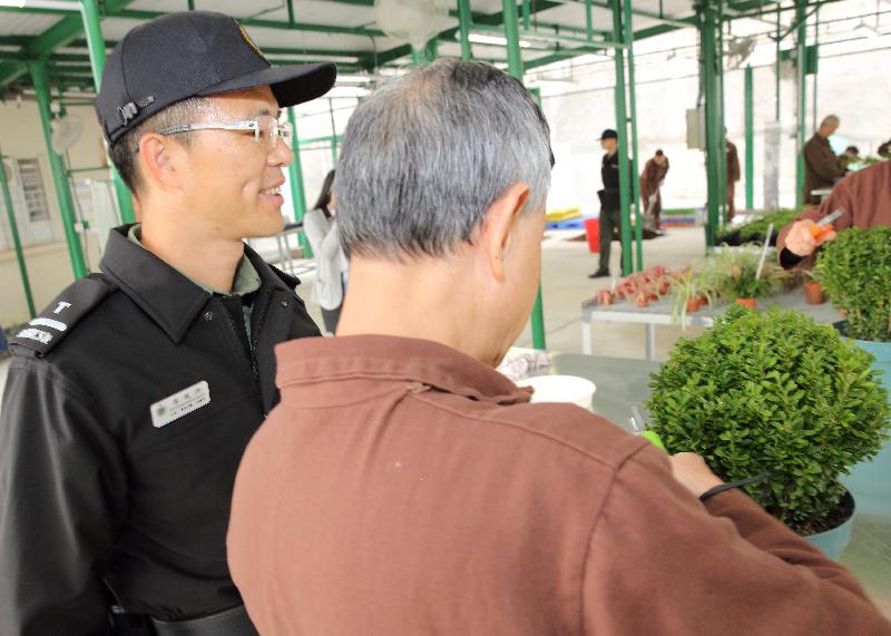 年长在囚人士在导师教导下学习园艺技能及知识，又可陶冶性情。