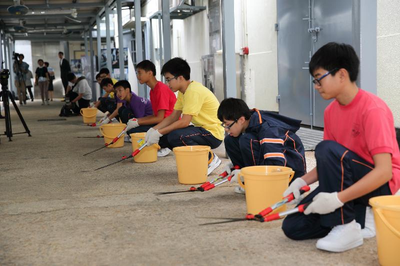 Students take part in a simulated grass-cutting exercise as part of "The Reflective Path".