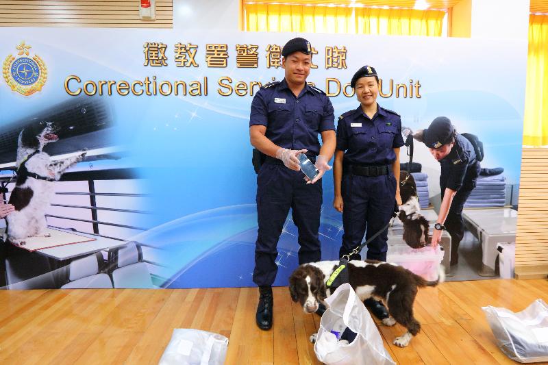 The Correctional Services Department held a press briefing on its anti-gambling operations for World Cup 2018 at Lai King Correctional Institution today (June 11). Photo shows the Correctional Services Dog Unit demonstrating how it searches for contraband.