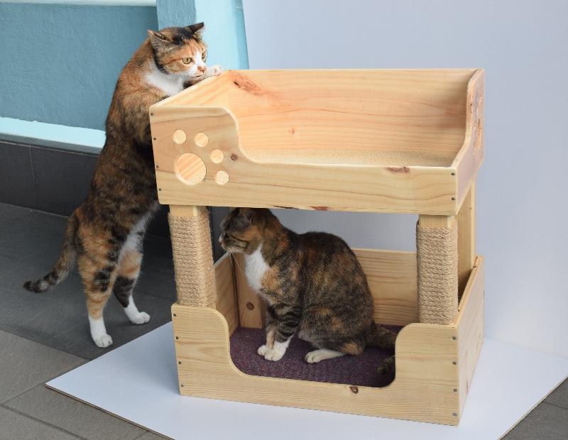 The Correctional Services Department (CSD) Sports Association will hold its 66th Autumn Fair this Saturday (November 3), which includes the sale of items made by persons in custody. Photo shows a piece of furniture designed for cats made from recycled wine crates.