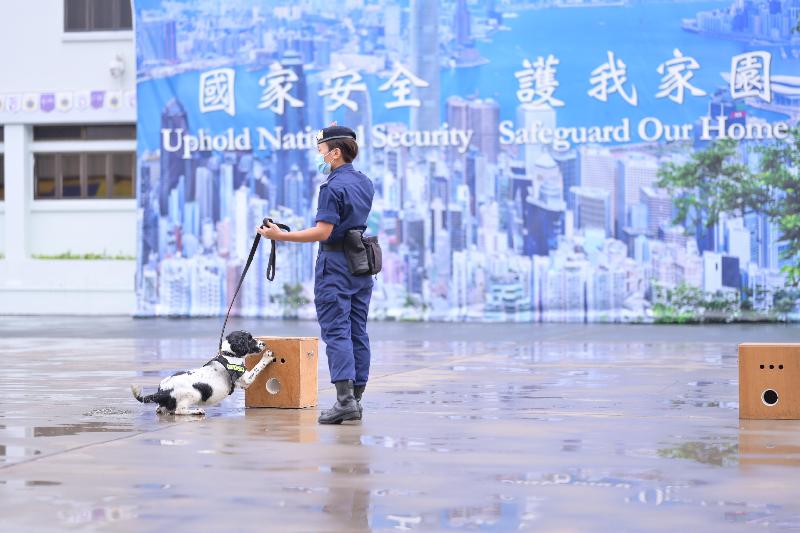 The Correctional Services Department is fully supporting National Security Education Day today (April 15), and held an open day at its Staff Training Institute. Photo shows demonstrations by the Dog Unit.