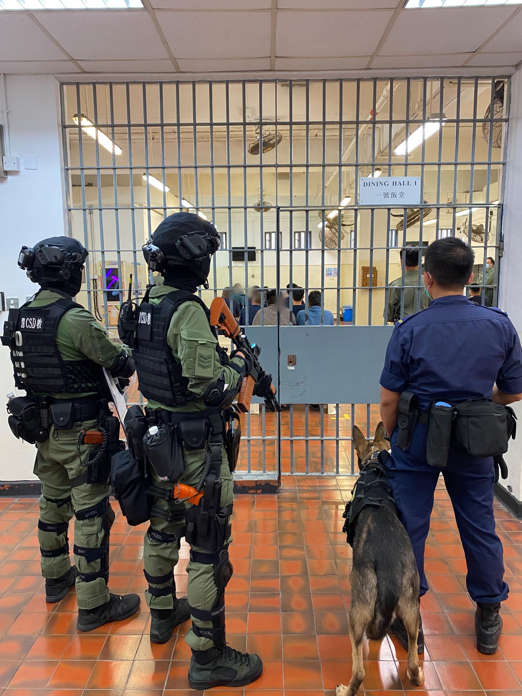 The Correctional Services Department today (December 9) launched an operation to combat illicit activities of persons in custody at Tung Tau Correctional Institution. Photo shows members of the Regional Response Team and the Dog Unit being deployed as backup at Tung Tau Correctional Institution.