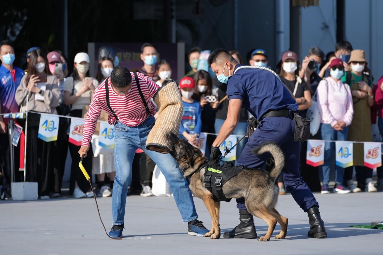 The Correctional Services Department today (December 10) held the Grand Performance cum Open Day at the Hong Kong Correctional Services Academy. Photo shows a demonstration by the Dog Unit.