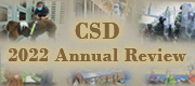 CSD Annual Review 2022