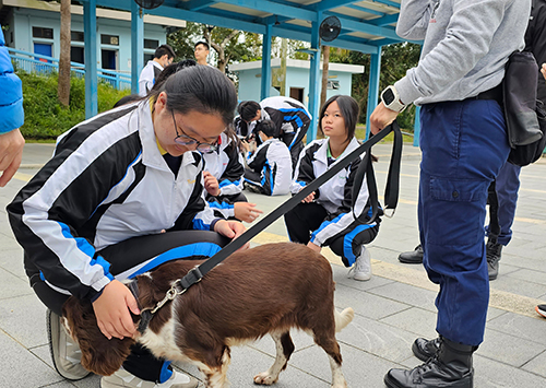 Visiting the Dog Unit of CSD