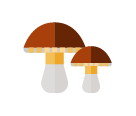Helps with mood - MUSHROOM